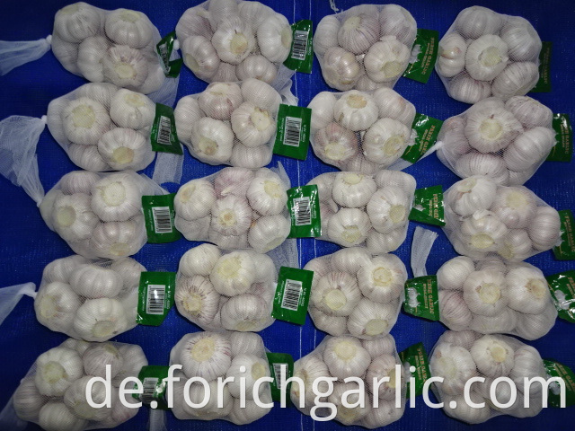 Normal White Garlic Crop 2019